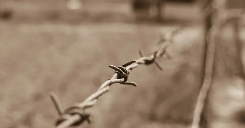 A sepia-toned close-up of a barbed wire fence, symbolizing protection and freedom.